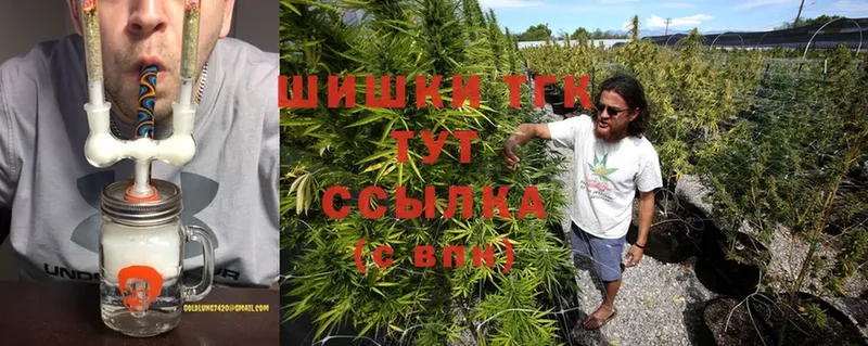 Каннабис Ganja  Малая Вишера 